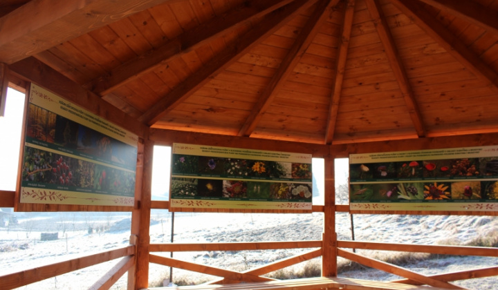 6. fotografia fotogalérie Pomoc z EÚ 2014 - 2020 / Budovanie vstupných prvkov drobnej infraštruktúry - foto