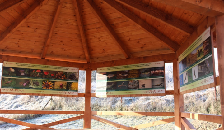 44. fotografia fotogalérie Pomoc z EÚ 2014 - 2020 / Budovanie vstupných prvkov drobnej infraštruktúry - foto