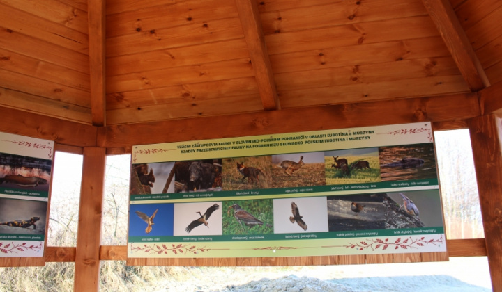 45. fotografia fotogalérie Pomoc z EÚ 2014 - 2020 / Budovanie vstupných prvkov drobnej infraštruktúry - foto