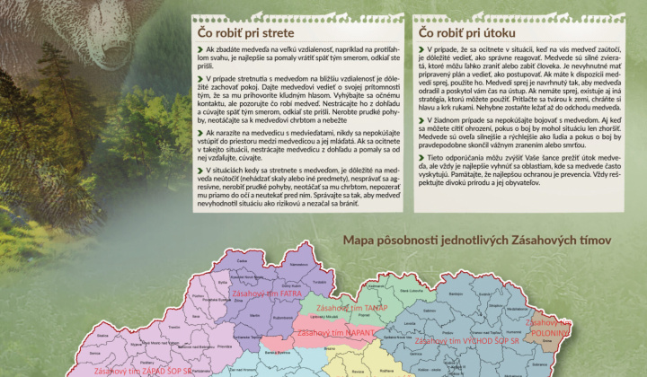 Fotka - Ako sa správať v oblastiach s výskytom medveďa hnedého
