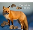 Orálna vakcinácia líšok